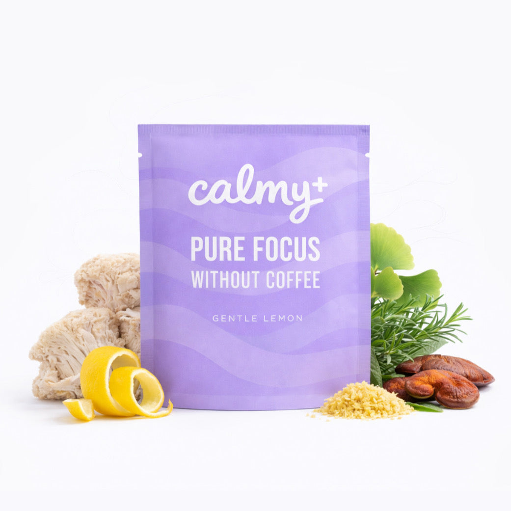 THE DAILY FOCUS 🍄